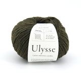 Ulysse - Forêt - 21
