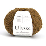 Ulysses - Darjeeling - 46